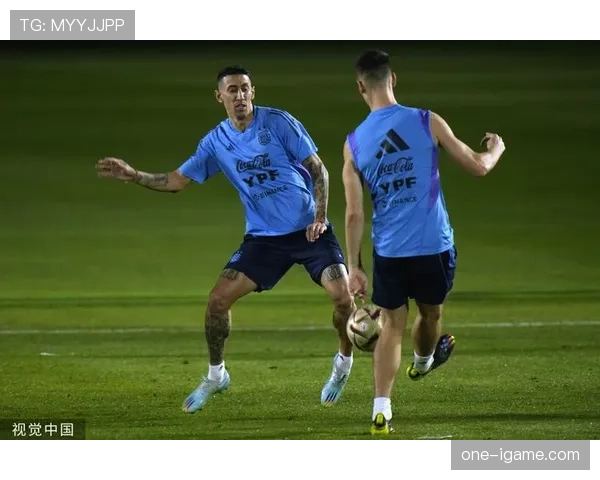 迪马利亚最新动态：伤情恢复情况与复出时间